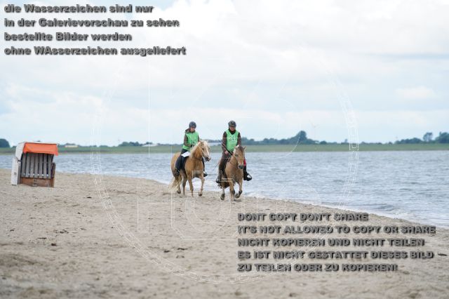 s_K3F04997.JPG